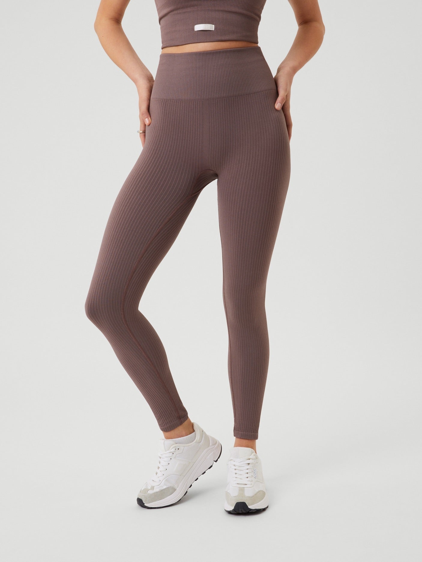 BJÖRN BORG Studio Seamless Rib Tights Sparrow