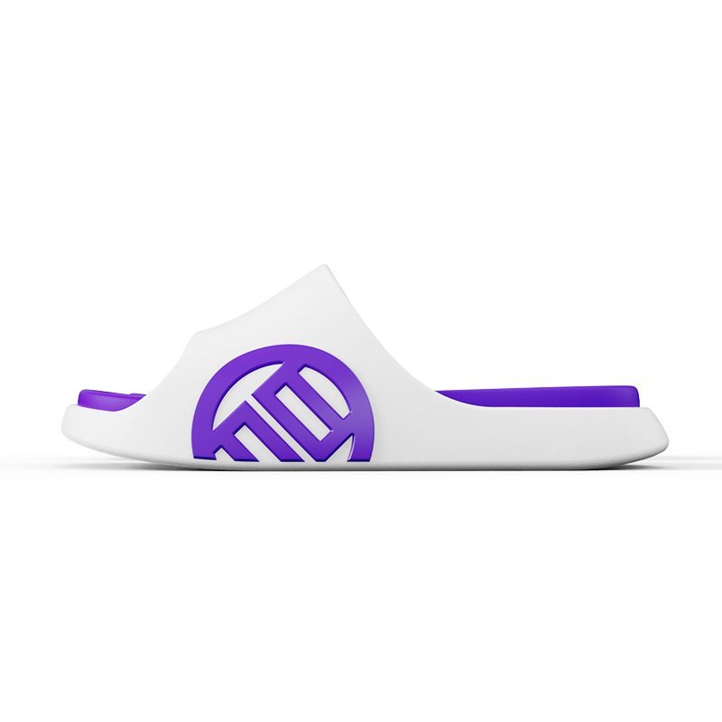 LUXIAOJUN QI Slides – Violet Edition