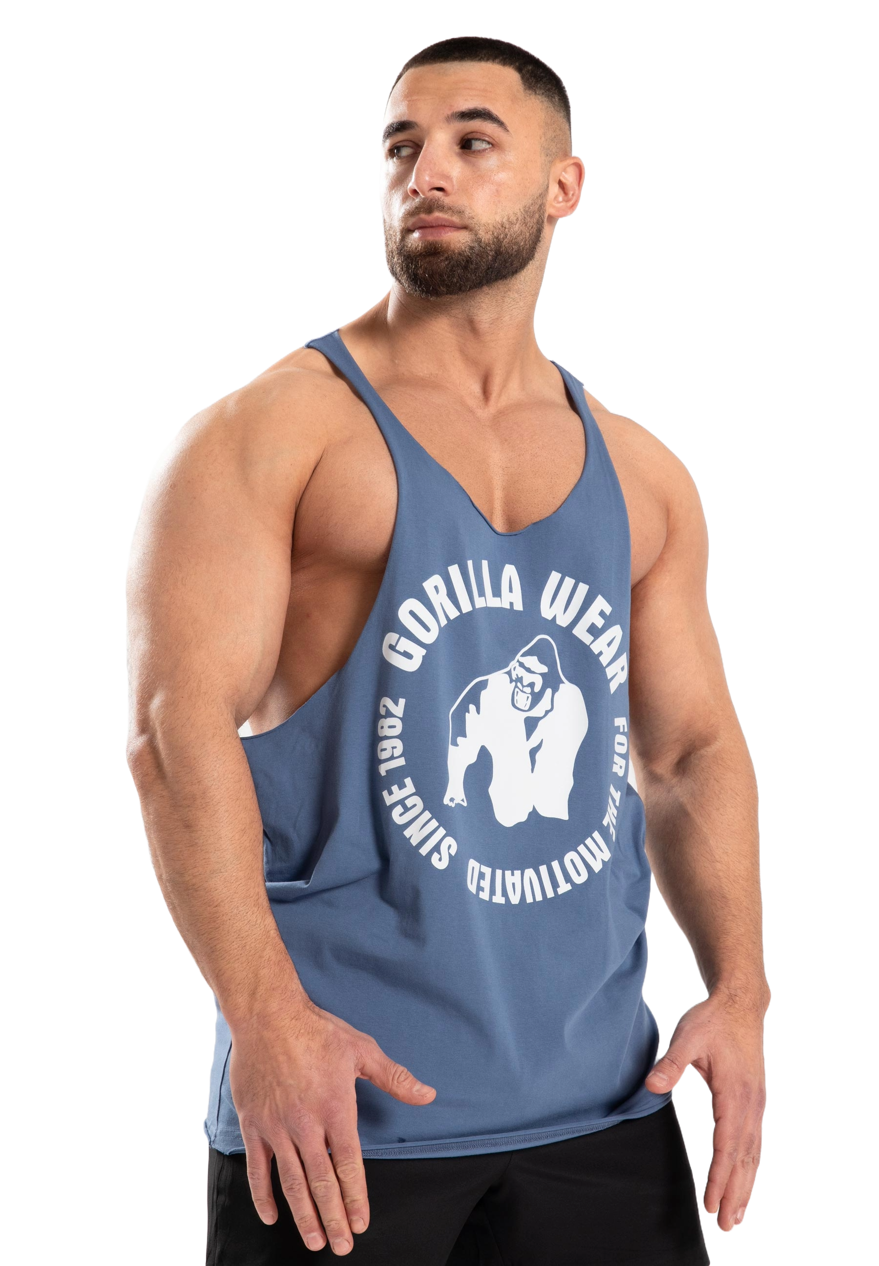 Gorilla Wear Melrose Stringer, coronet blue Gorilla Wear