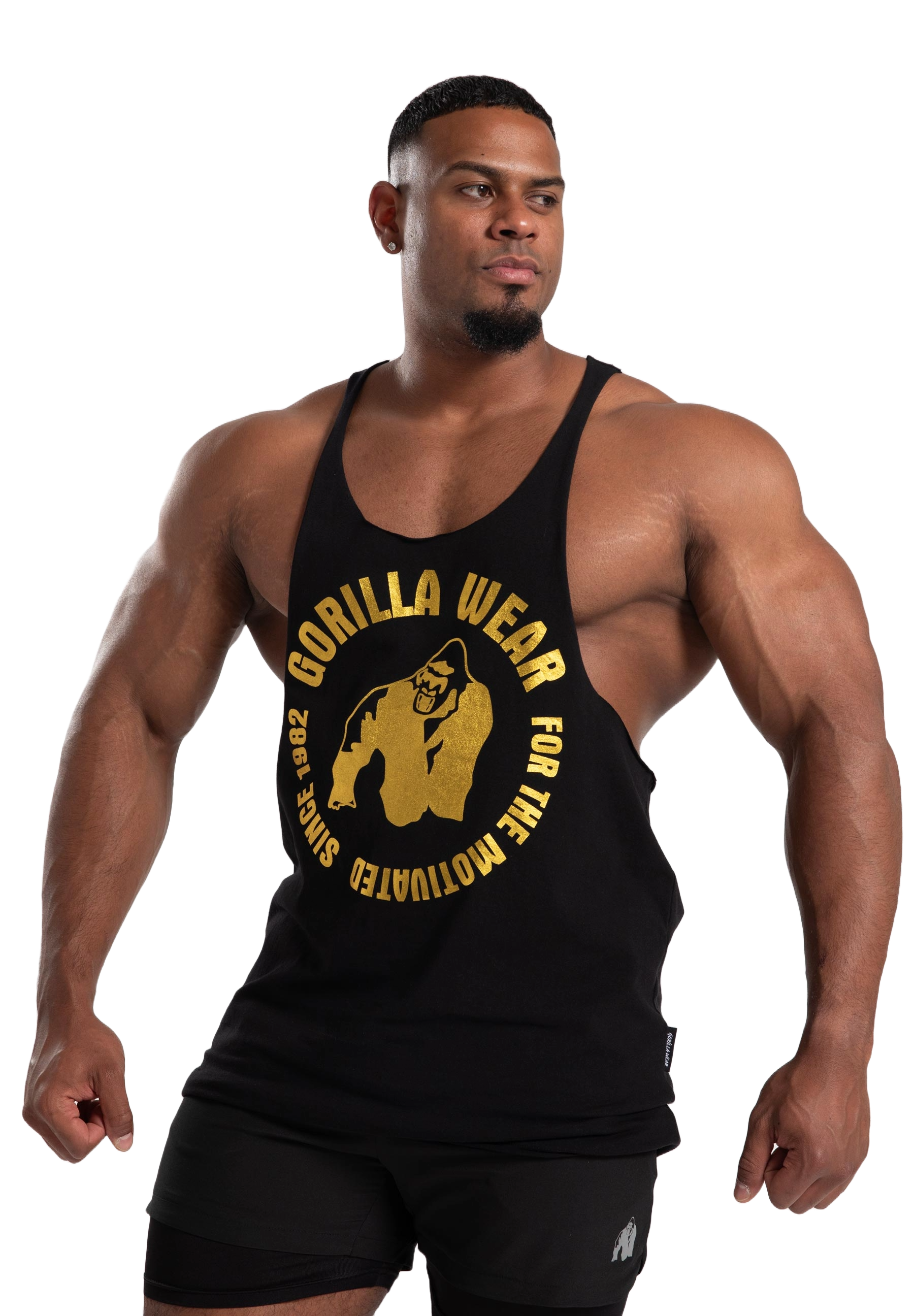 Gorilla Wear Melrose Stringer, black gold Gorilla Wear
