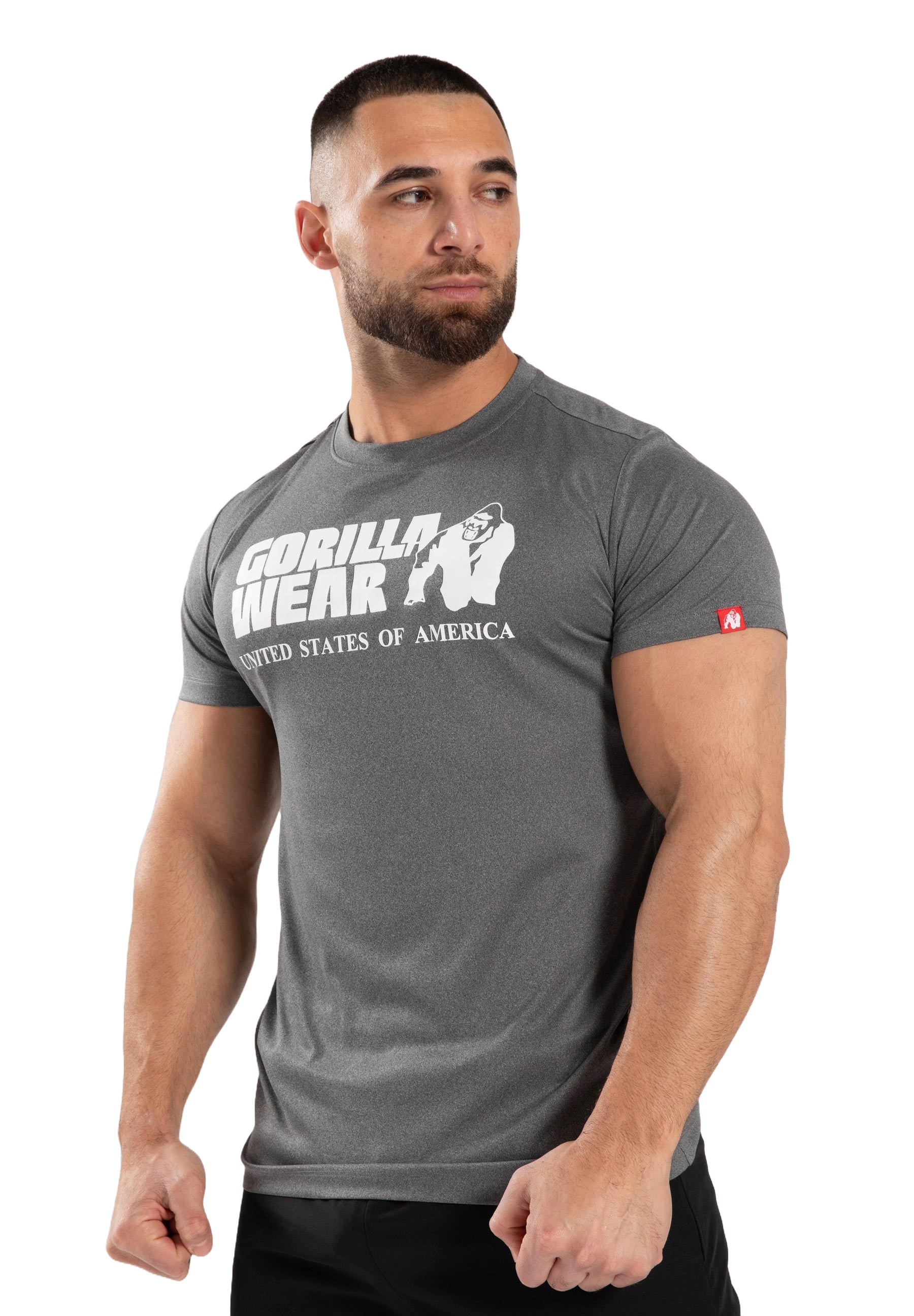 Gorilla Wear Classic Training T-Shirt, grey melange Gorilla Wear