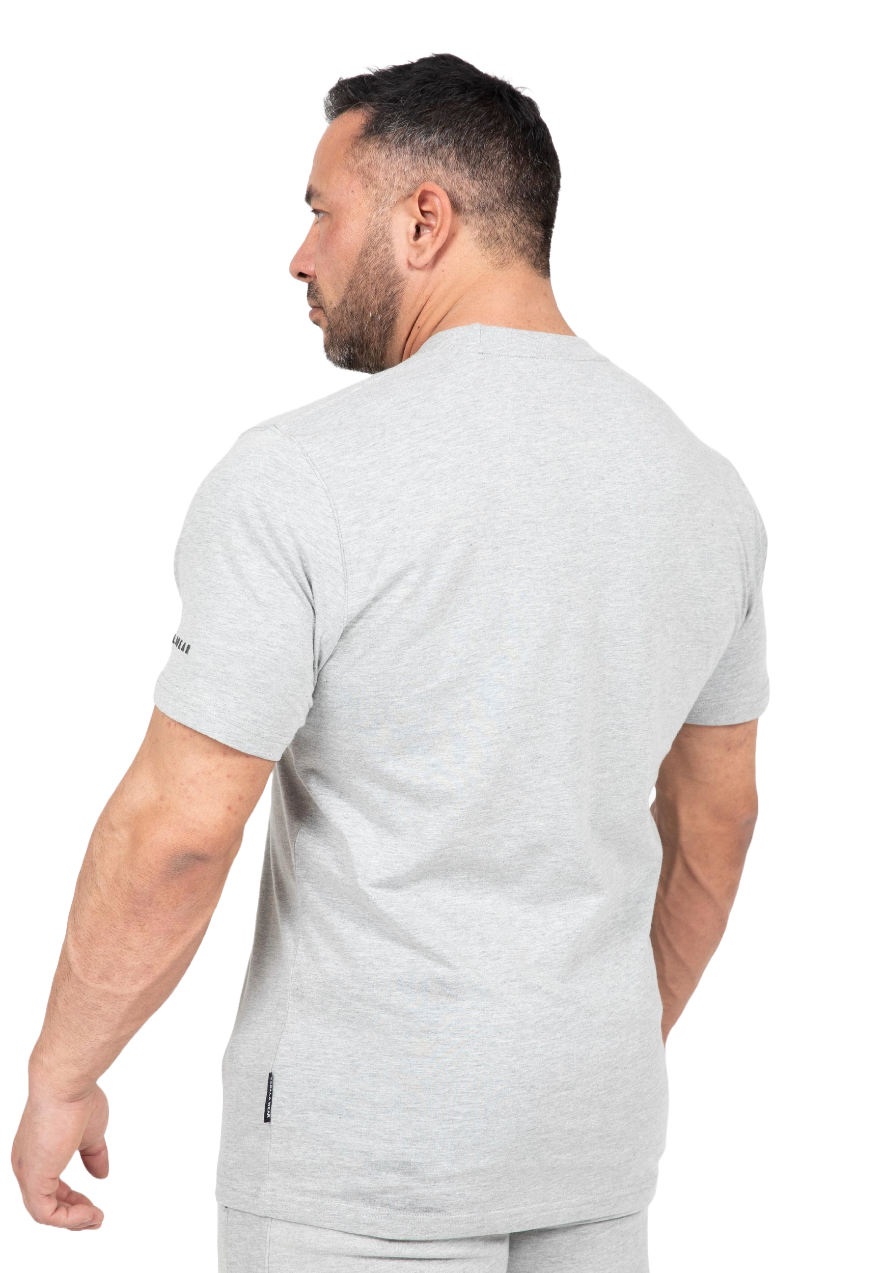 Gorilla Wear Leon T-Shirt, grey Gorilla Wear