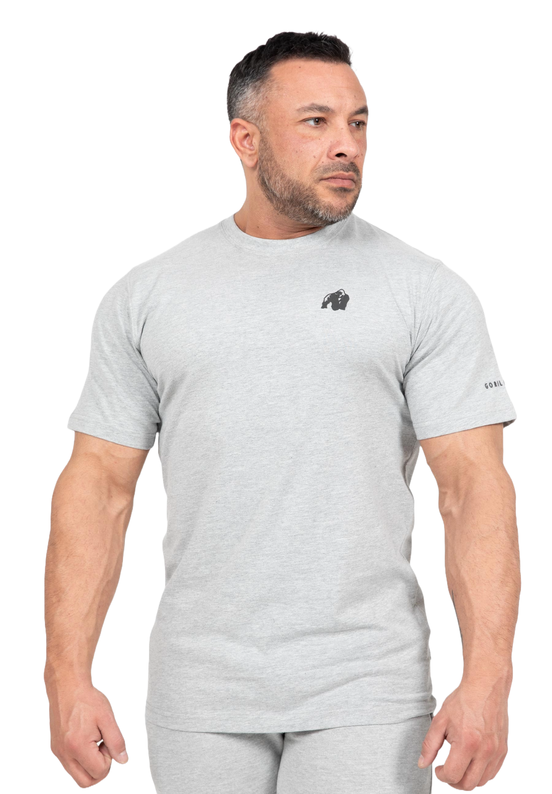 Gorilla Wear Leon T-Shirt, grey Gorilla Wear