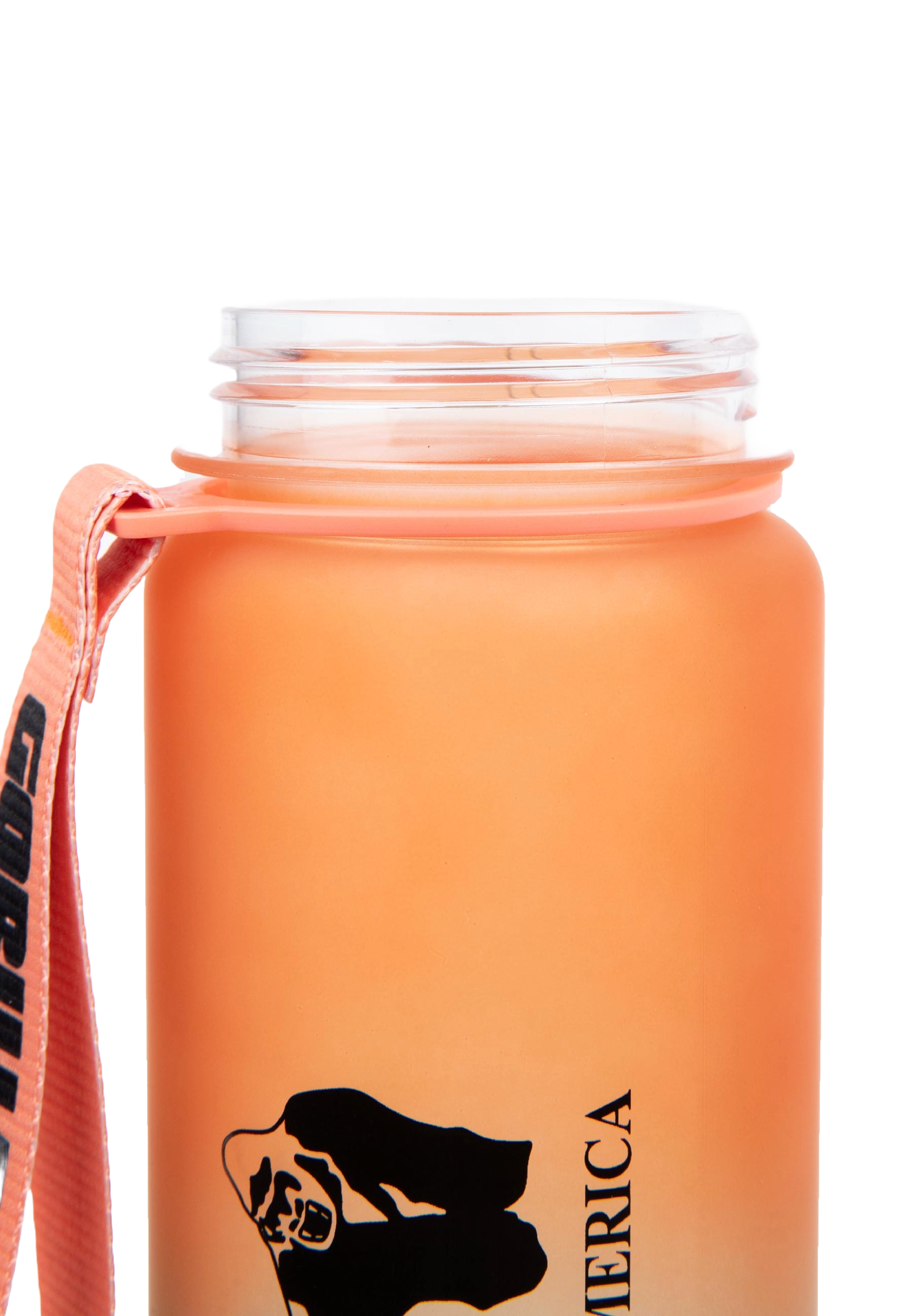 Gorilla Wear Gradient Water Bottle, green/orange Gorilla Wear