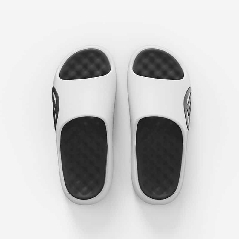 LUXIAOJUN QI Slides – Panda Edition