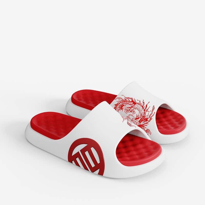 LUXIAOJUN QI Slides – Dragon Red Edition