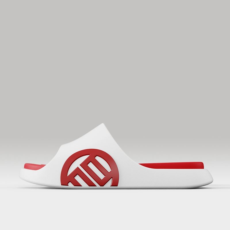 LUXIAOJUN QI Slides – Dragon Red Edition