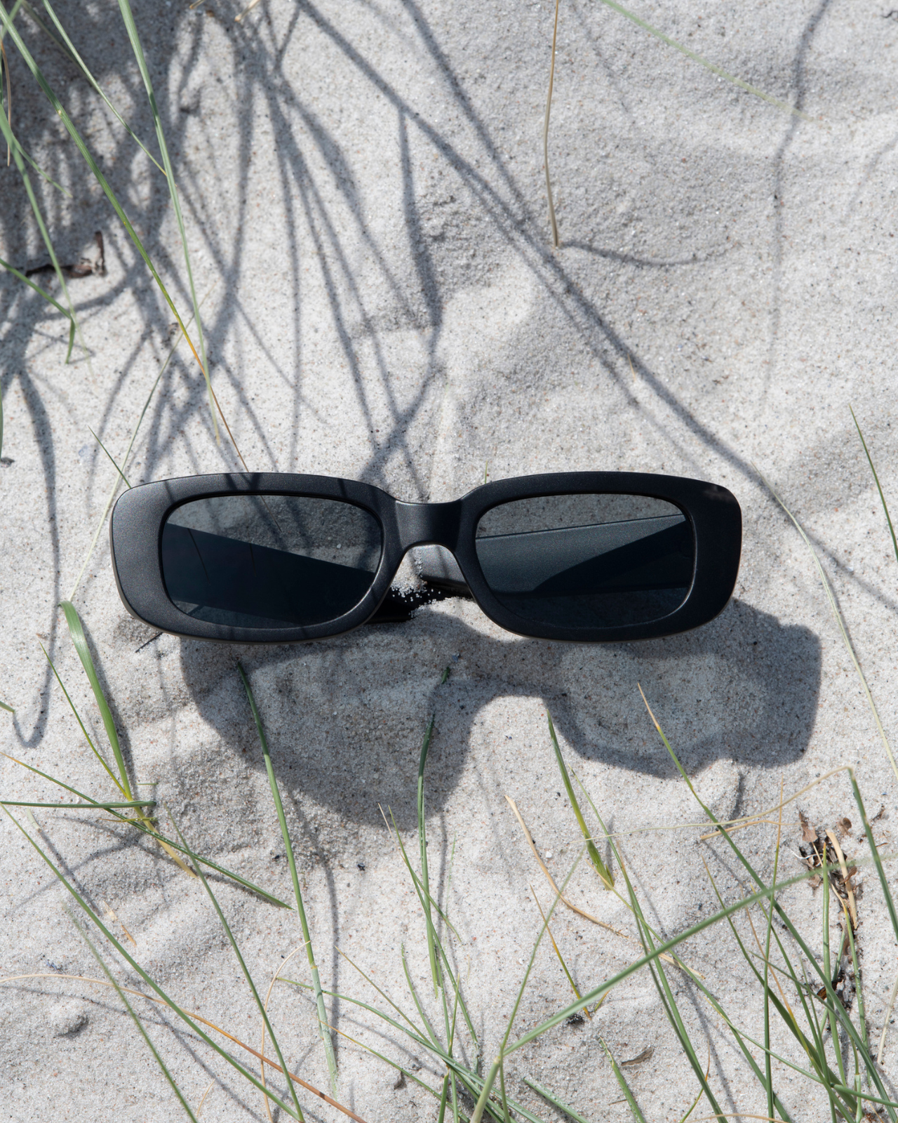 CHPO Nicole Solglasögon Black CHPO