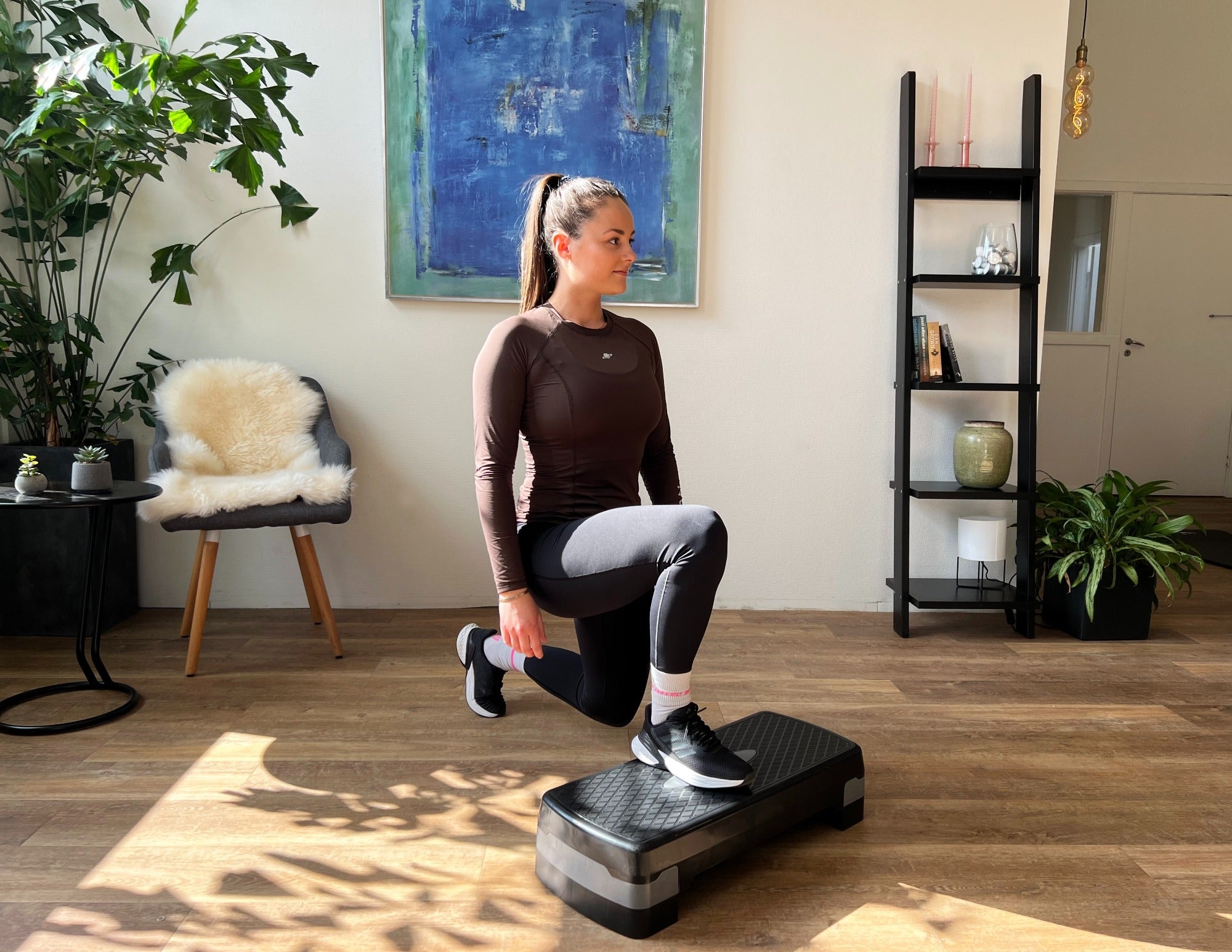 Titan Life Hemmaträningspaket – Stepbräda, Yogamatta, Maghjul & Gymboll