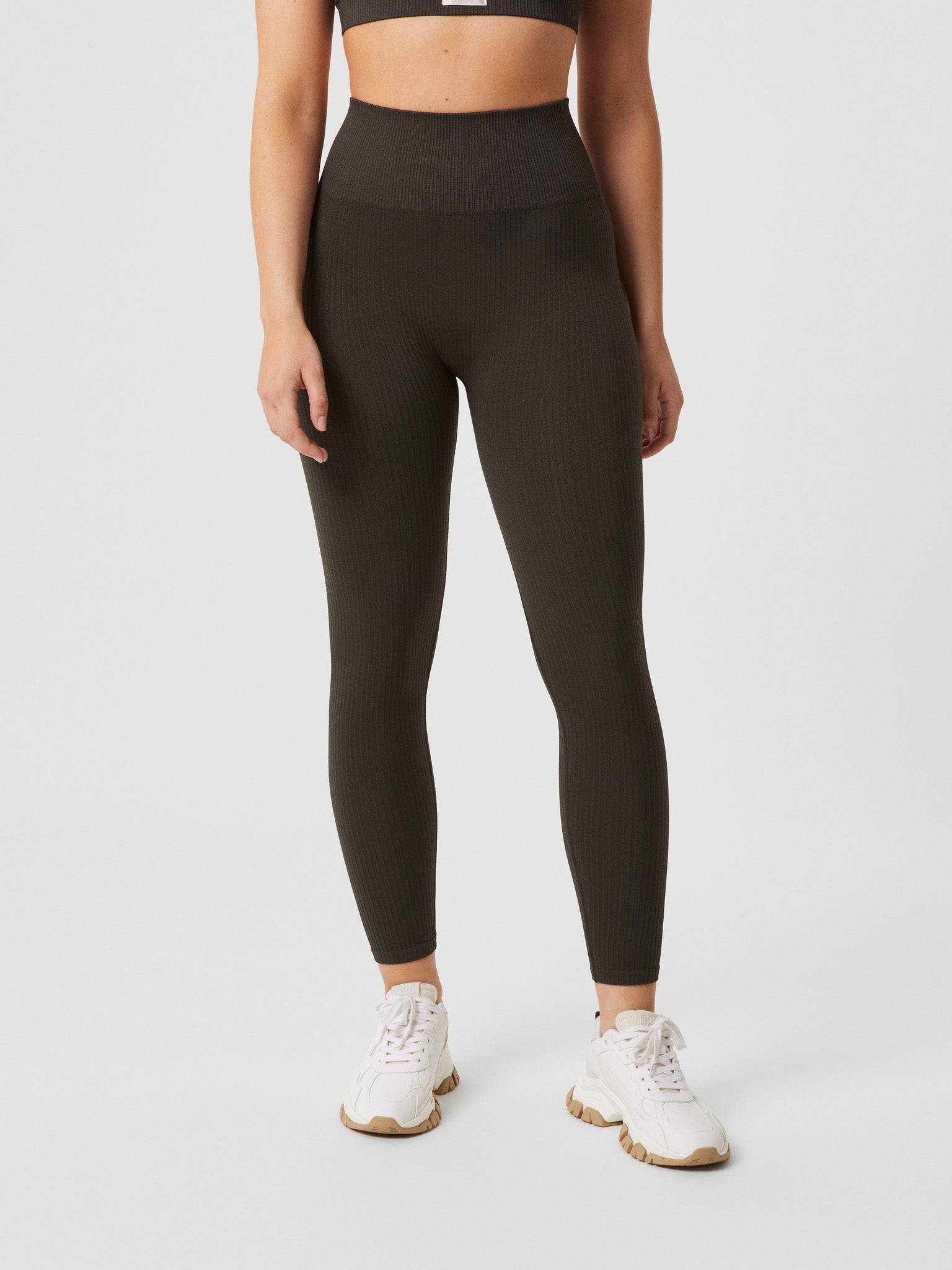 BJÖRN BORG Studio Seamless Rib Tights Peat
