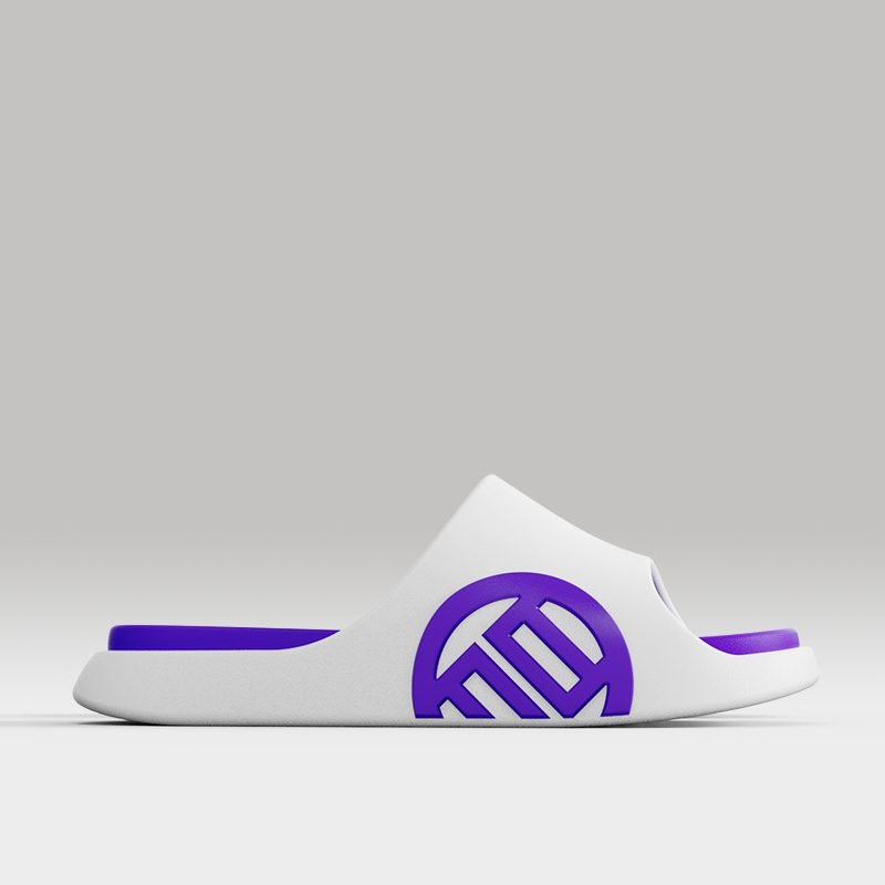 LUXIAOJUN QI Slides – Violet Edition