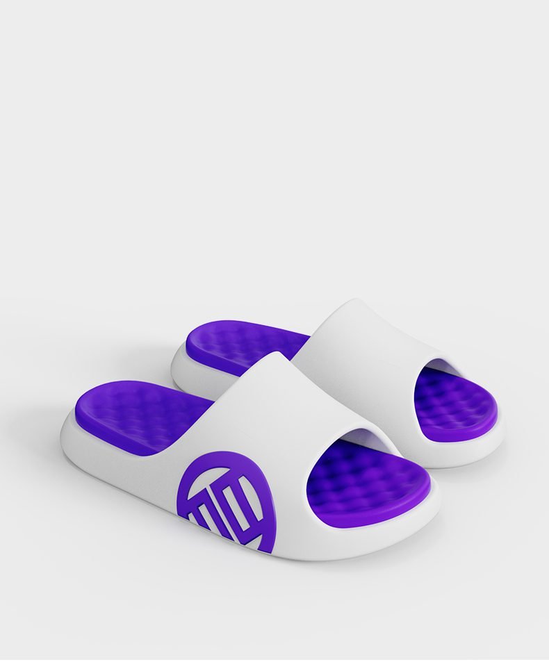 LUXIAOJUN QI Slides – Violet Edition