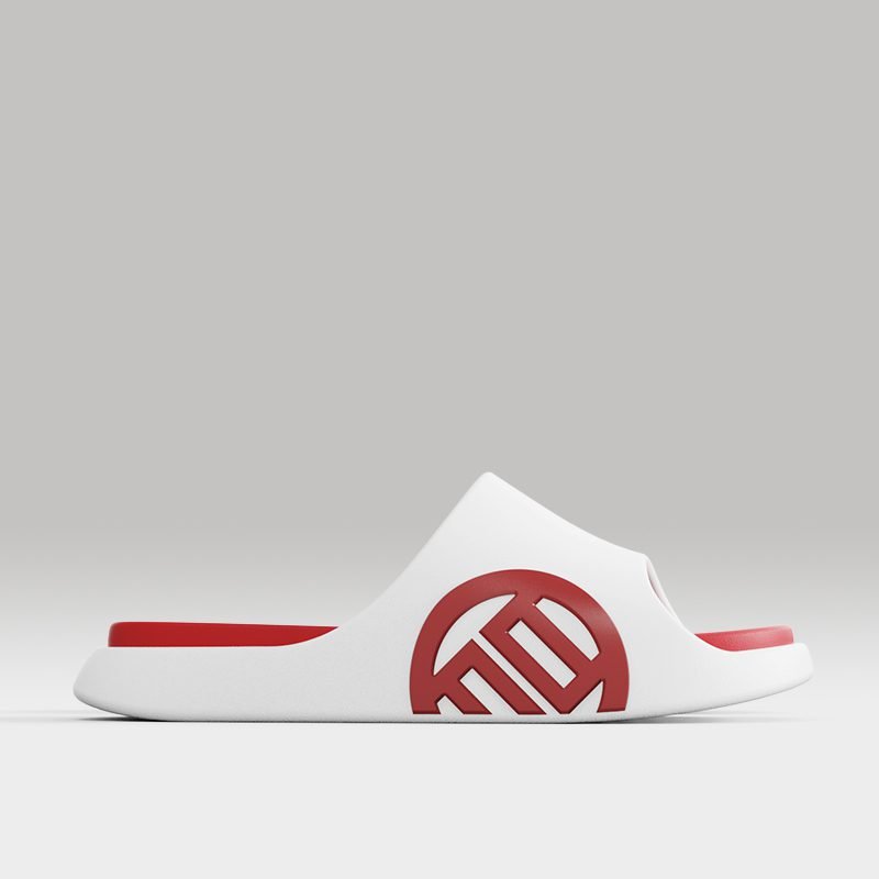 LUXIAOJUN QI Slides – Dragon Red Edition