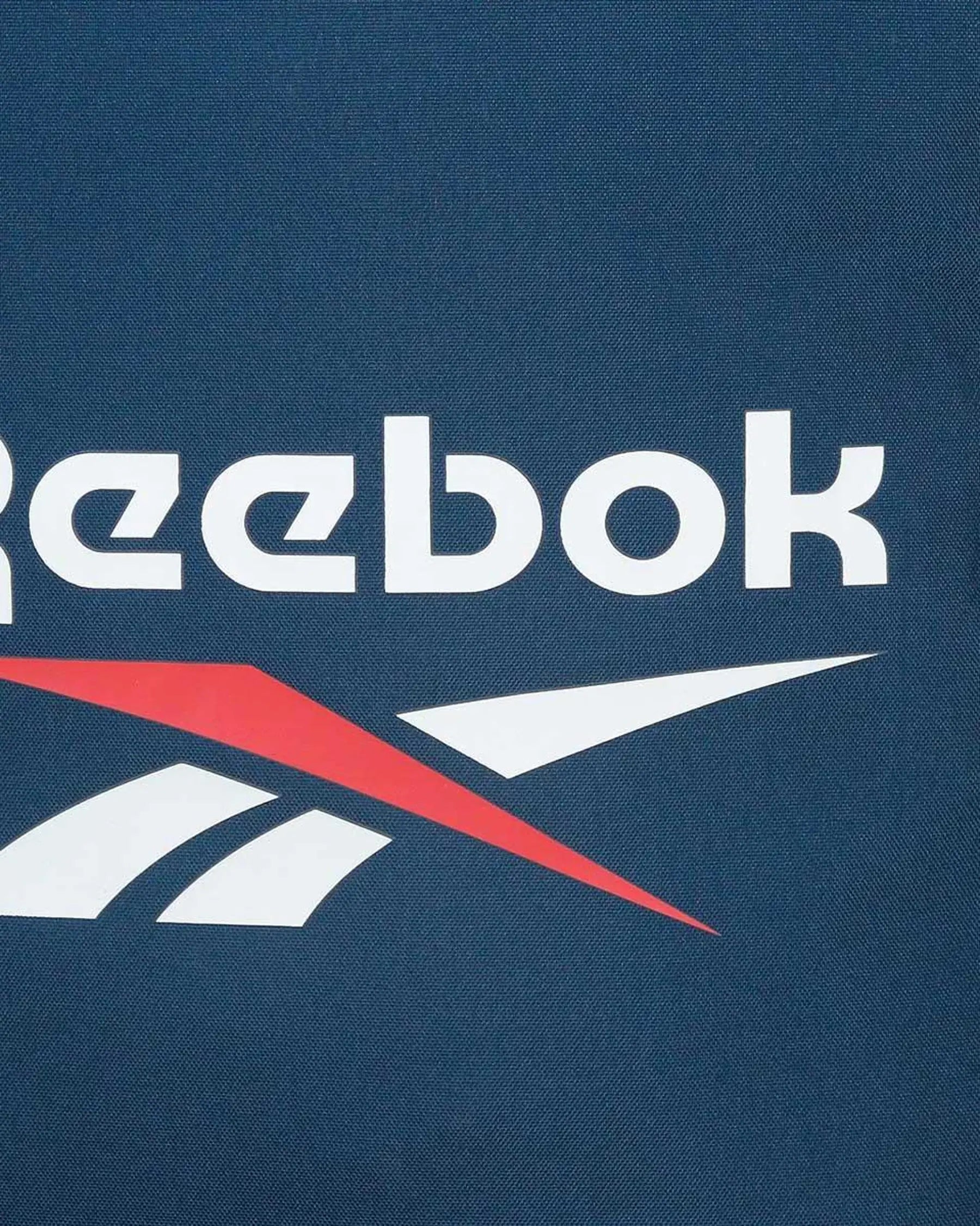 Reebok Backpack Ashland 45cm Blå