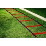 Speed Ladder