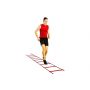 Speed Ladder